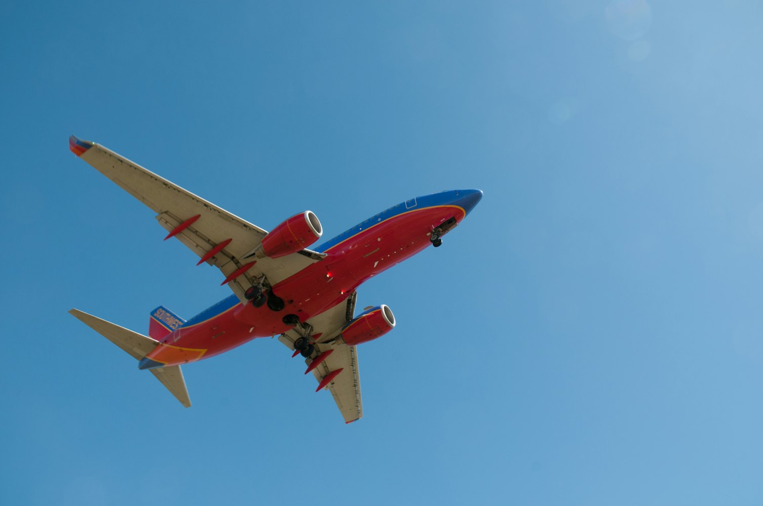 允许带宠物上飞机的航空公司-宠物怎么跟人一起坐飞机 允许带宠物上飞机的航空公司-宠物怎么跟人一起坐飞机