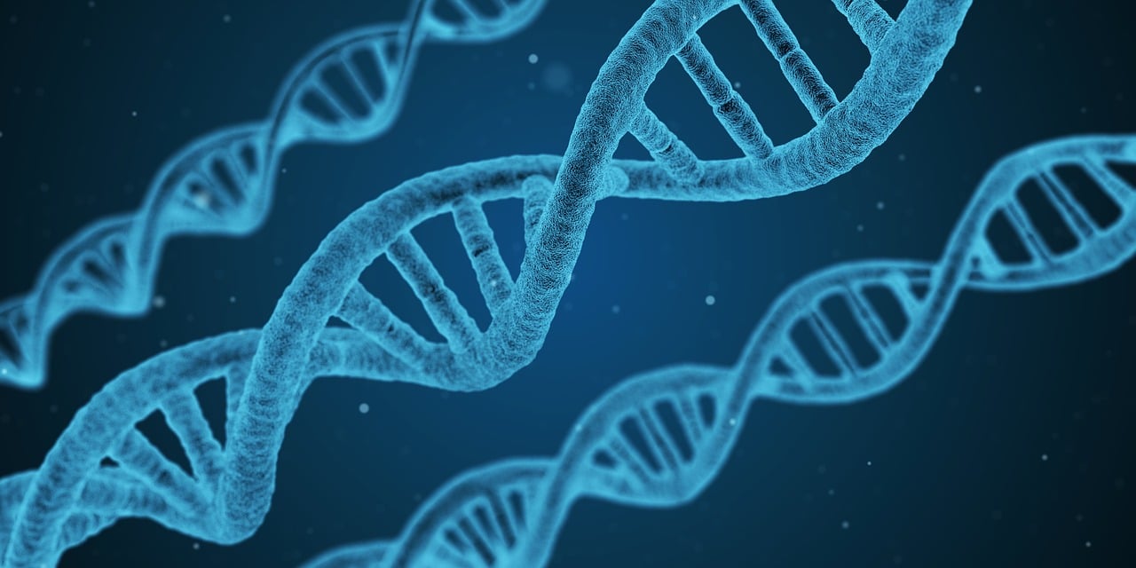 “生物化学各种缩写” 生物化学常见英文缩写？