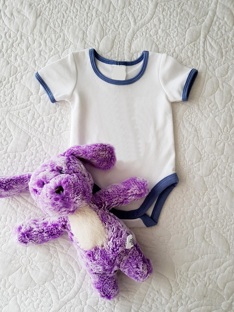 「衣服模板_1」〃证件照女生衣服模板 「衣服模板_1」〃证件照女生衣服模板