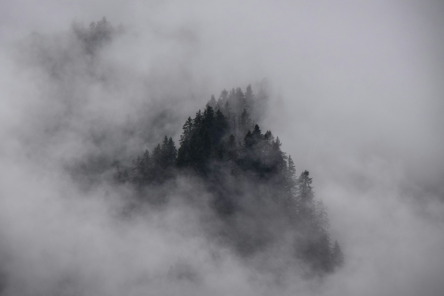 【开门见山好不好/客厅开门见山好不好】