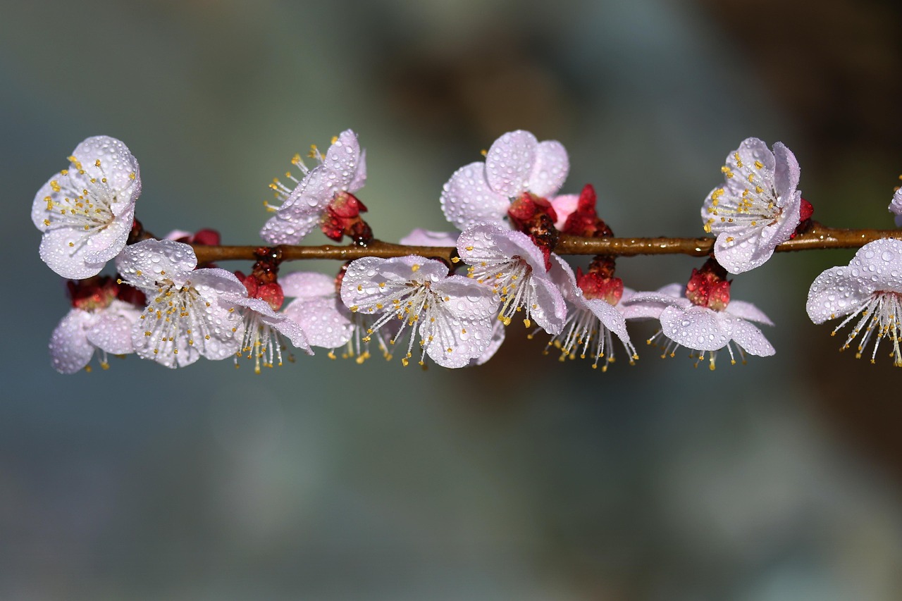 “描写四季植物的好段” 四季描写绝美段落？