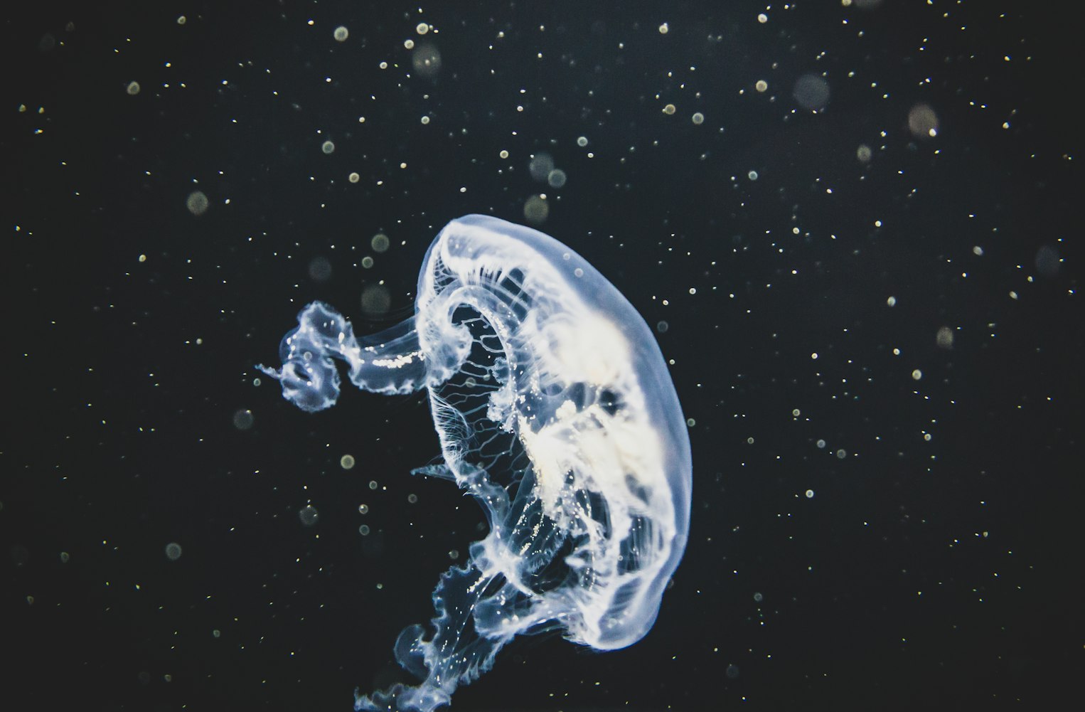 “世界和宇宙哪个更大-” 世界和宇宙是从哪里来的？
