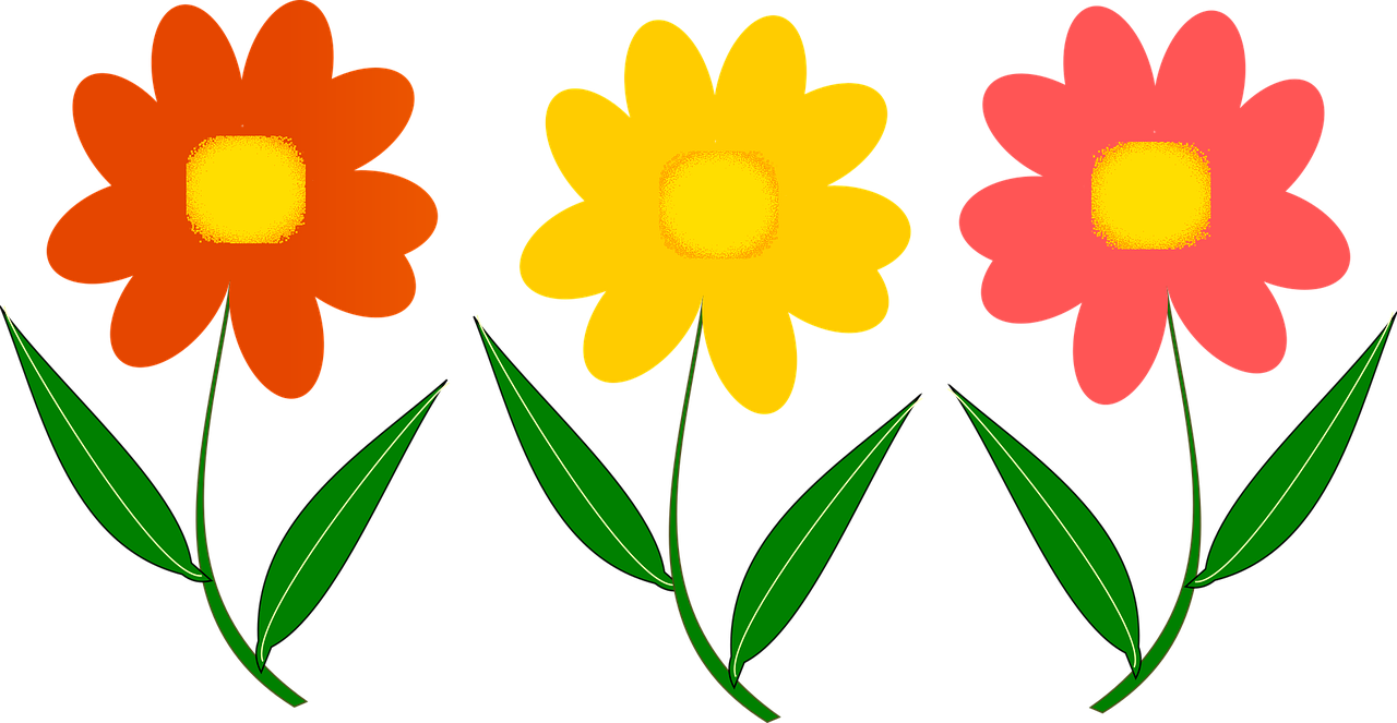 「植物卡片怎么做三年级？」〃怎样制作植物卡片最漂亮