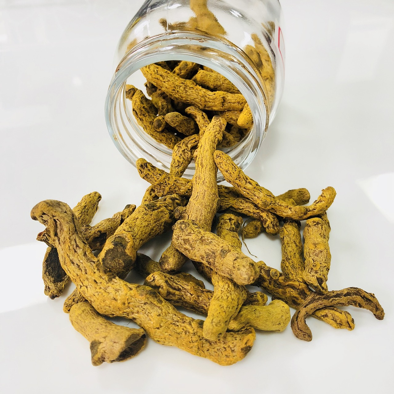 半枝莲的药用功能如何?,半枝莲的药性和功效 半枝莲的药用功能如何?,半枝莲的药性和功效