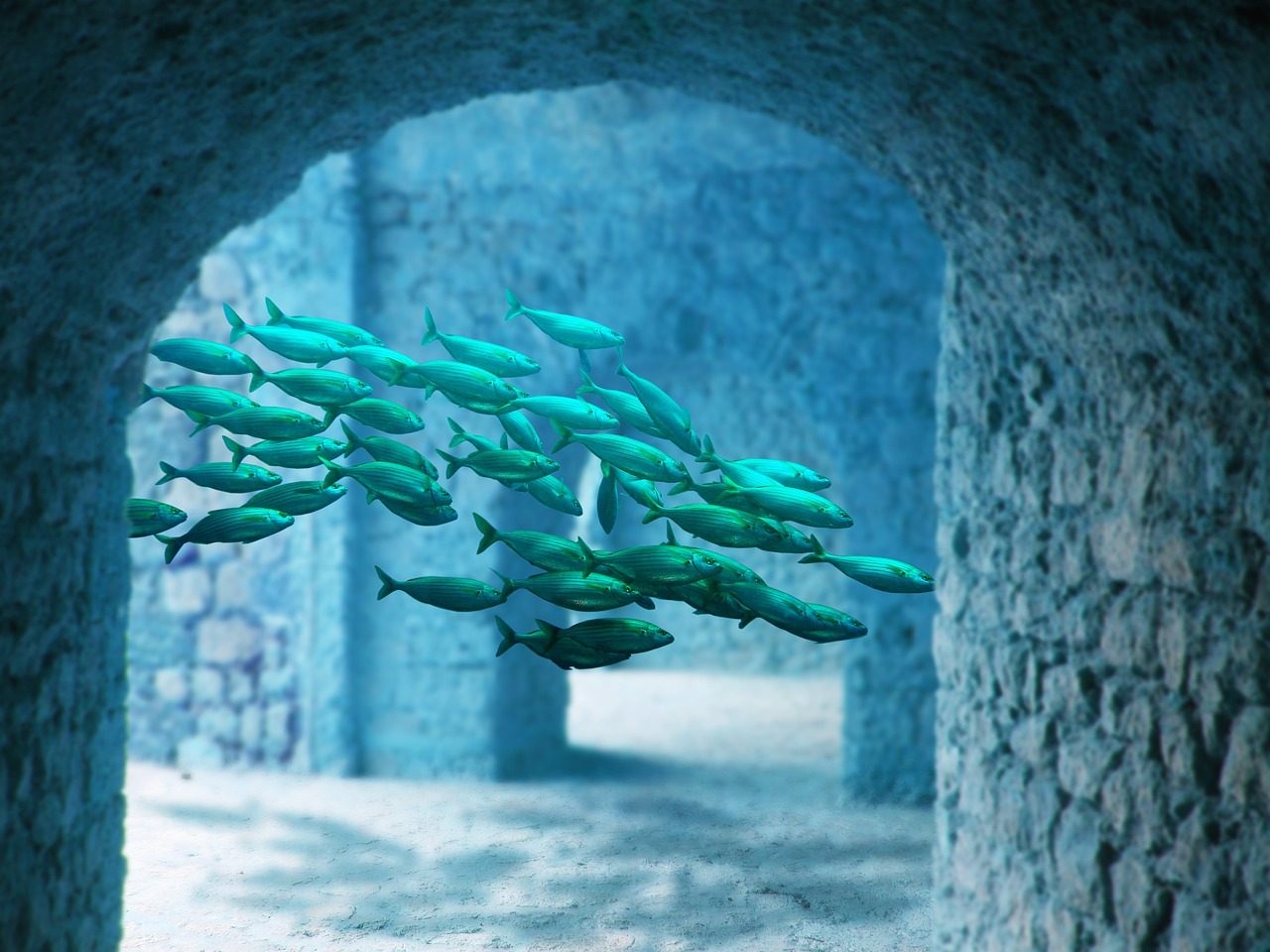 《海底世界》教案,海底世界教案幼儿园 《海底世界》教案,海底世界教案幼儿园