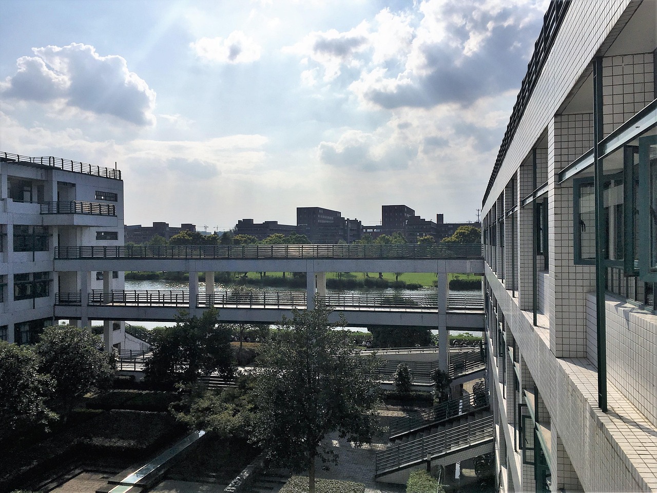 杭州师范大学大一新生可不可以转专业,杭州师大转专业申请条件 杭州师范大学大一新生可不可以转专业,杭州师大转专业申请条件