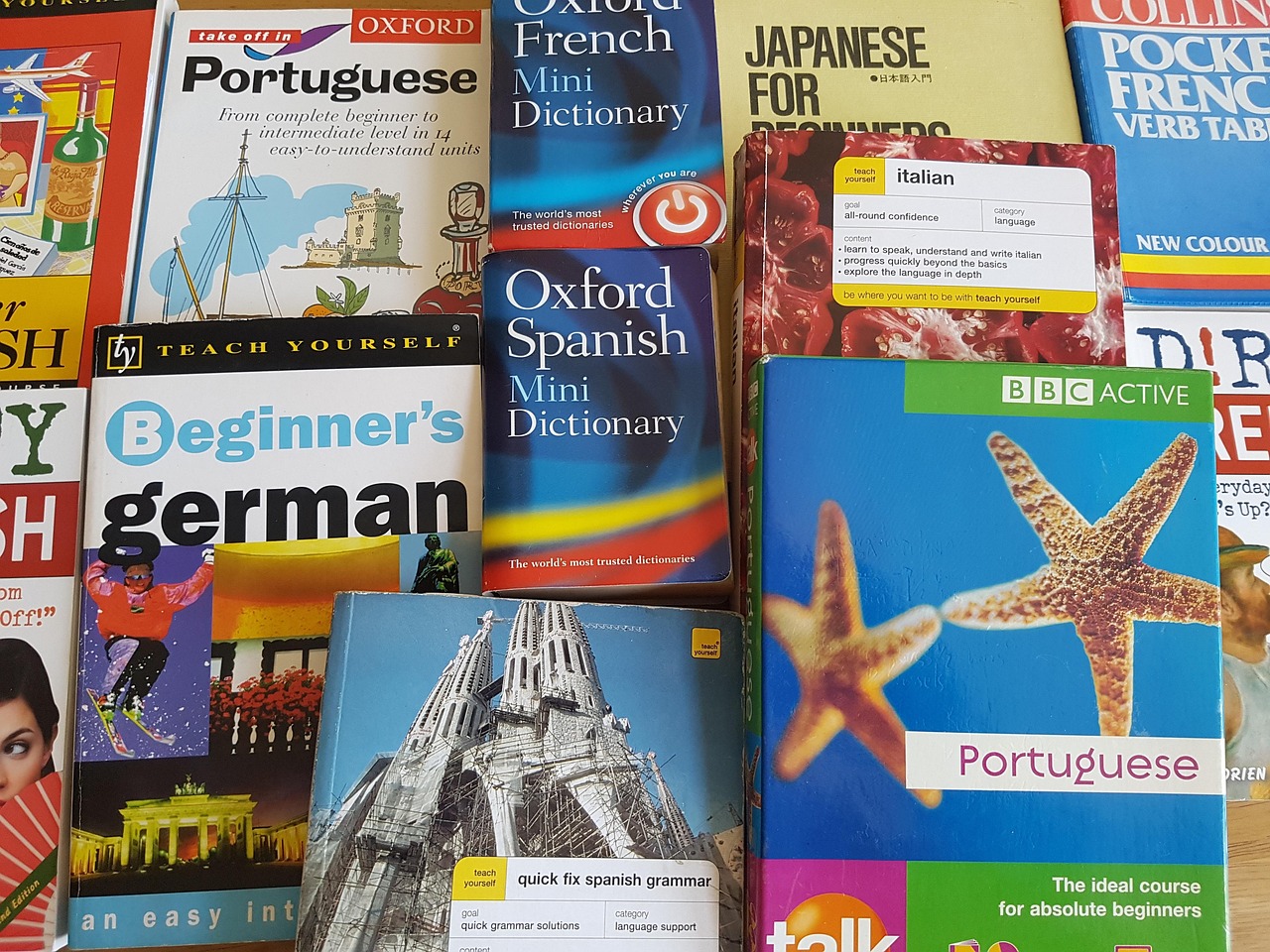跟着书本去旅行每集主要内容〃跟着书本去旅行每集简介 跟着书本去旅行每集主要内容〃跟着书本去旅行每集简介