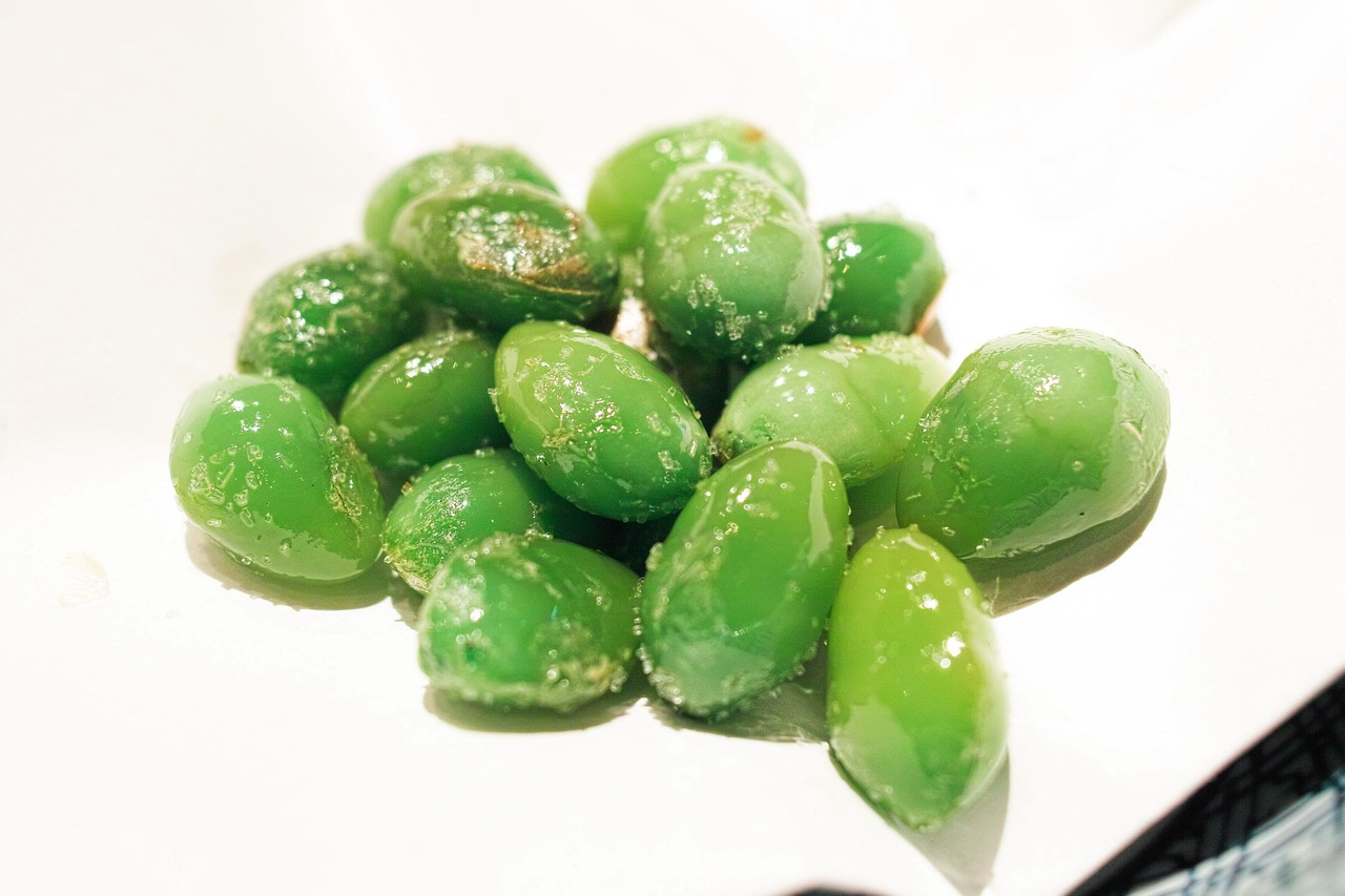 「植物都有哪些特点？」〃植物特征的简单介绍