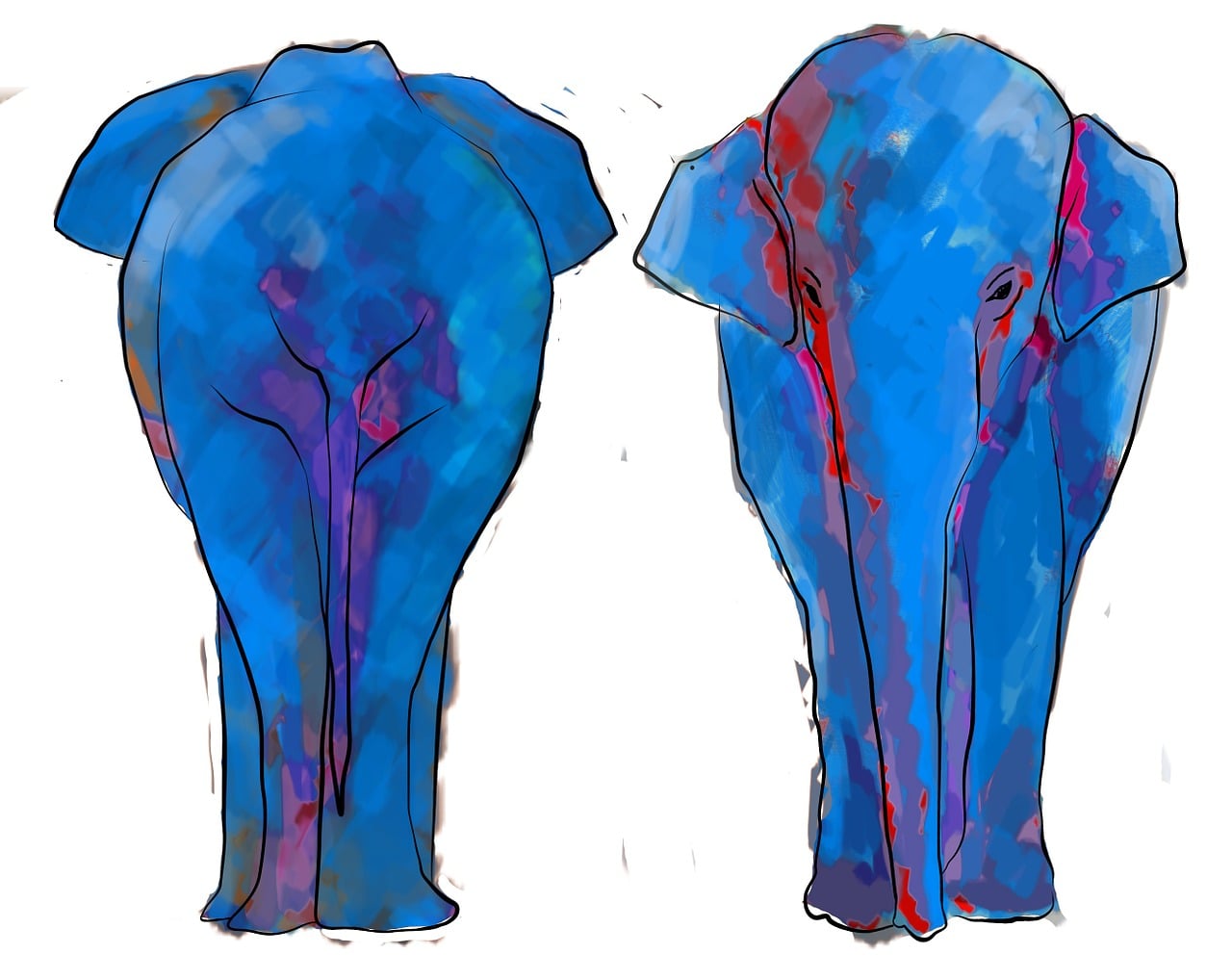 植物细胞和动物细胞所共有的生理活动是( )A.光合作用B.呼吸作用C.蒸腾作用D.以上都的简单介绍 植物细胞和动物细胞所共有的生理活动是( )A.光合作用B.呼吸作用C.蒸腾作用D.以上都的简单介绍