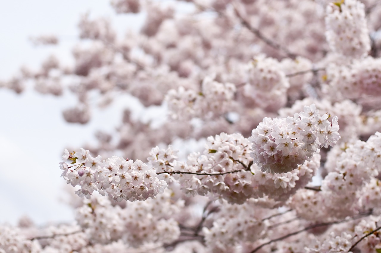 什么是打铁花︰(什么是打铁花简述)