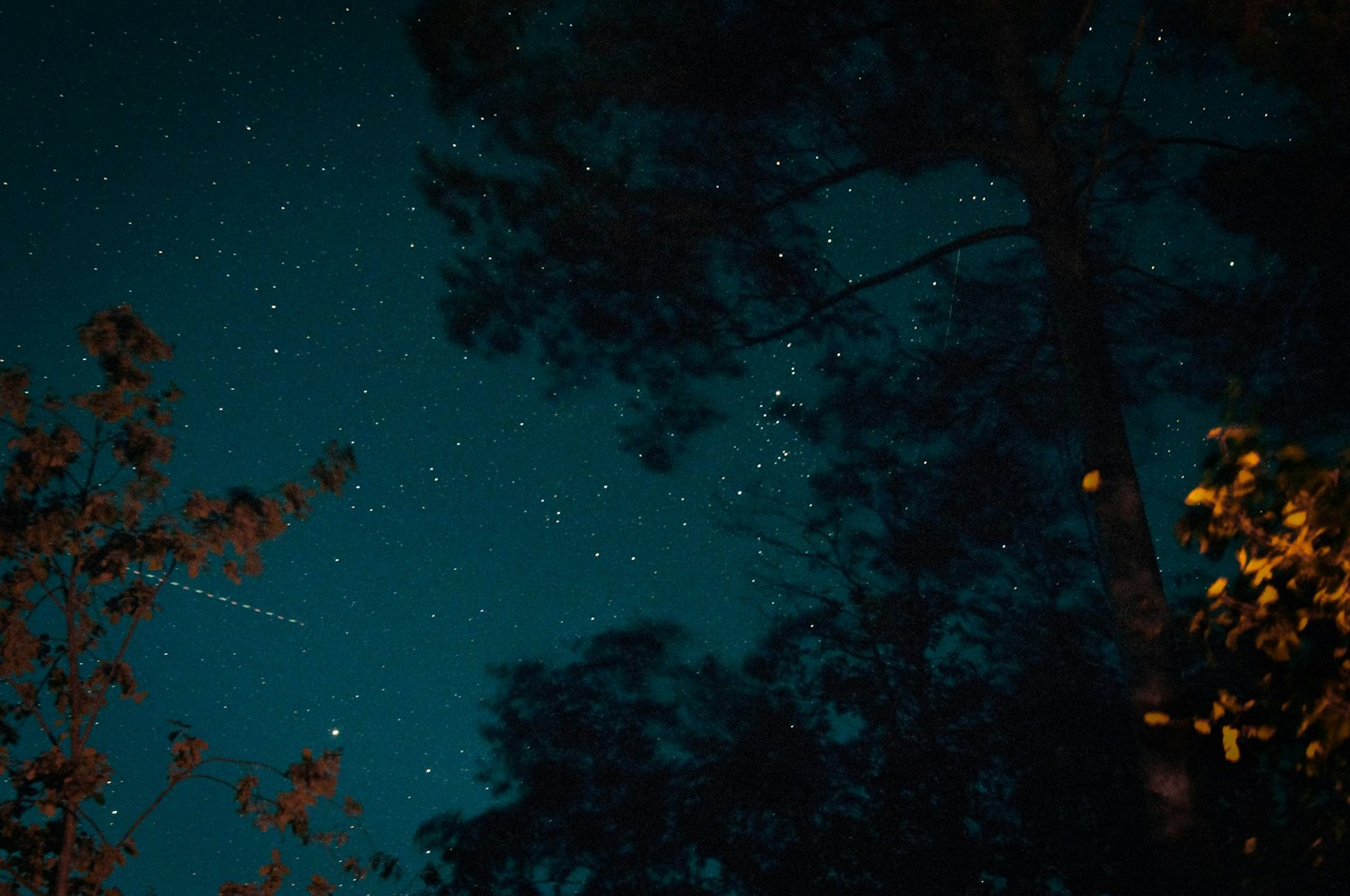 【夜晚天空中我们看到的星星都是什么/夜空中能看到哪些星星】 【夜晚天空中我们看到的星星都是什么/夜空中能看到哪些星星】
